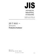 JIS T 8101:2006